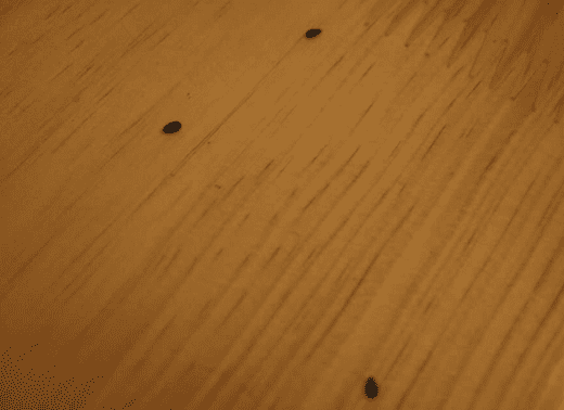 木器漆消泡劑的價(jià)格是多少