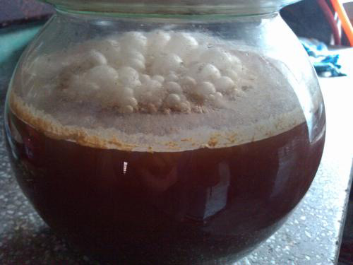 藥廠的泡沫問題？不用怕！制藥廠用消泡劑來搞定！