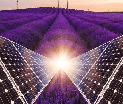 留下我的導(dǎo)電液消泡劑，也停止您的導(dǎo)電液泡沫