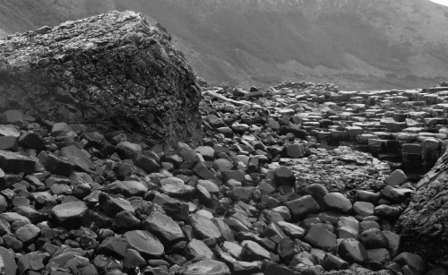 怎么礦業(yè)浮選消泡劑在礦業(yè)里那么多人在用？