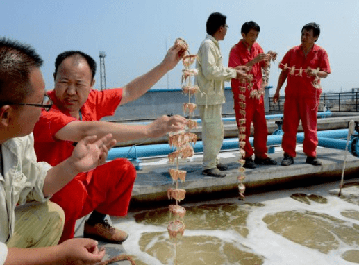 遇到生物水處理消泡劑后，生物水處理起泡不再是難題