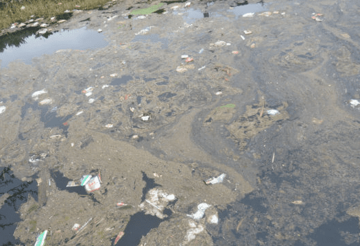 希望你，不要等到環(huán)境被污染了才意識(shí)到垃圾滲濾液處理消泡劑的必要