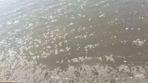 原來是沒用池塘用消泡劑，難怪池塘中的泡沫控制不??！