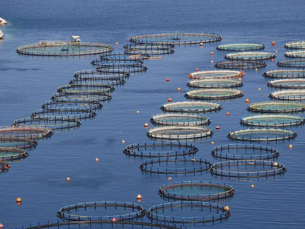 水處理消泡劑使用方法？你真的知道嗎？