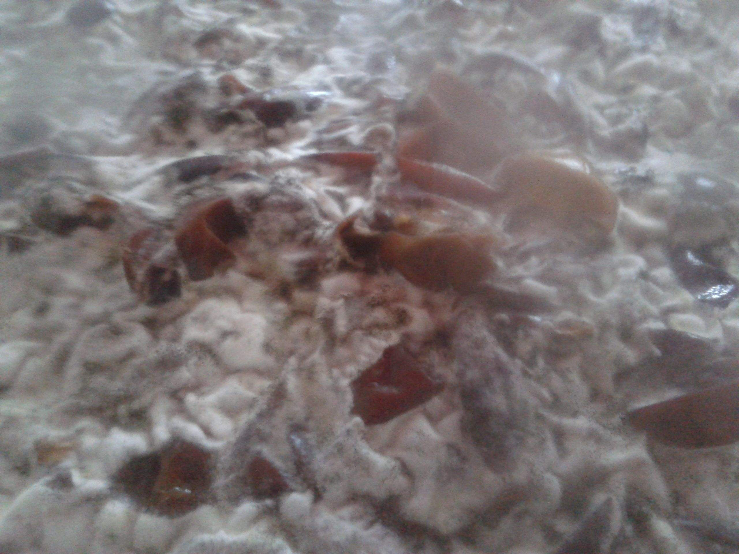 用發(fā)酵消泡劑竟然還有那么多好處！