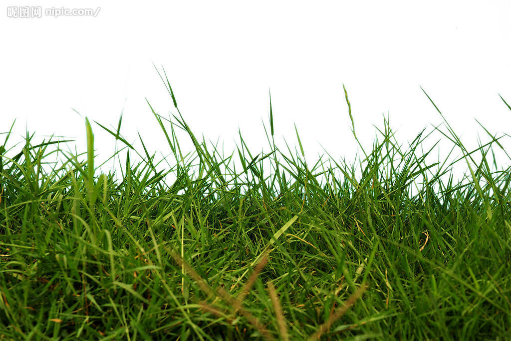 除草劑消泡劑在除草劑中應(yīng)用