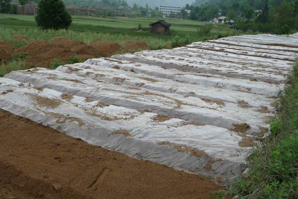 發(fā)酵用有機硅消泡劑在發(fā)酵中應(yīng)用