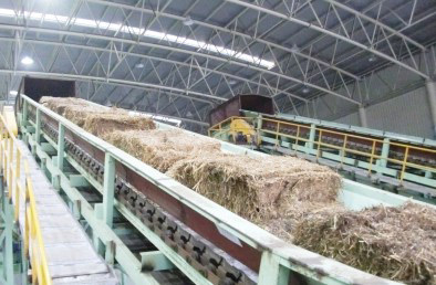 君倫化工科技-造紙在制漿過程中起泡