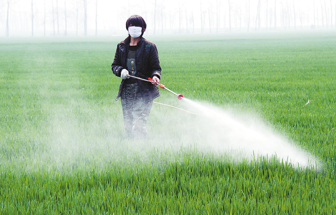 除蟲劑消泡劑在農(nóng)作物中應(yīng)用
