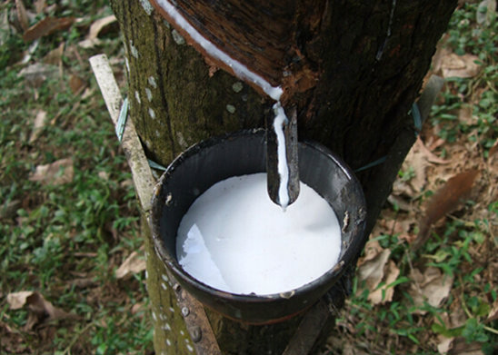 天然膠粘劑消泡劑的應(yīng)用領(lǐng)域