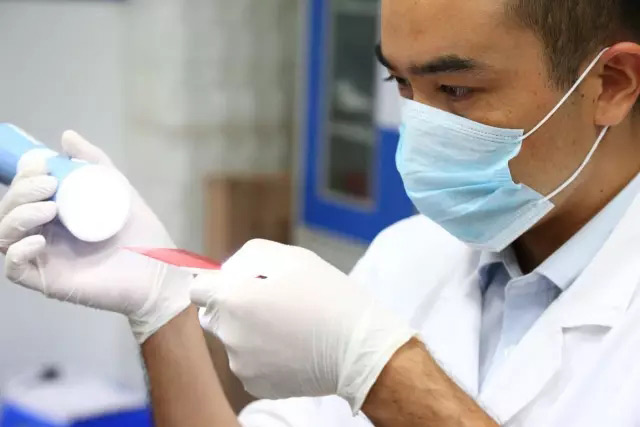 確認(rèn)實(shí)驗(yàn)結(jié)果 確認(rèn)實(shí)驗(yàn)結(jié)果