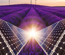 導(dǎo)電液消泡劑應(yīng)用場景 導(dǎo)電液消泡劑應(yīng)用場景