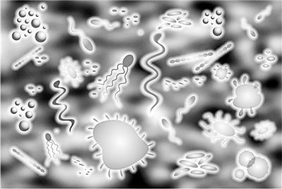 微生物用消泡劑.jpg 微生物用消泡劑.jpg